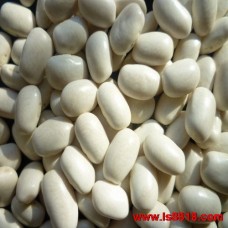 LARGE GREY KIDNEY BEANS